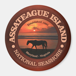 Íman Litoral do nacional da ilha de Assateague