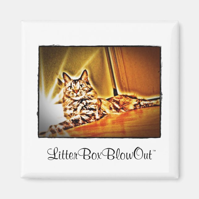 Íman LitterBoxBlowOut (Frente)