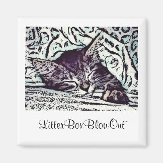 Íman LitterBoxBlowOut