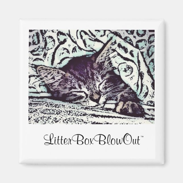 Íman LitterBoxBlowOut (Frente)