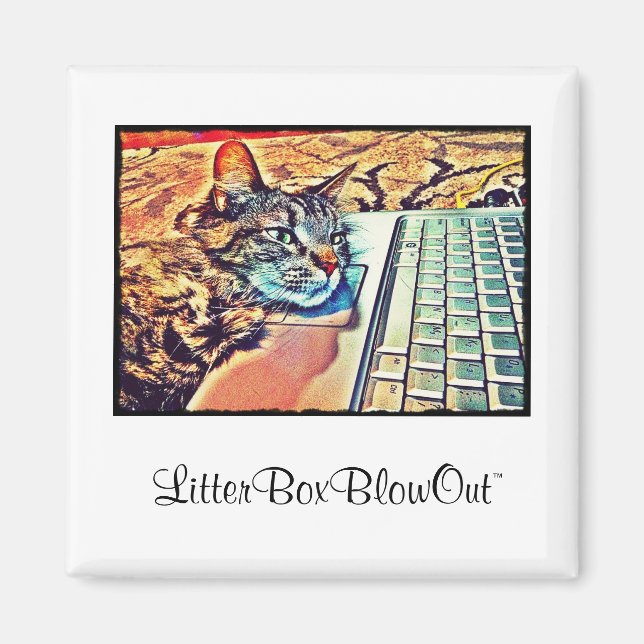 Íman LitterBoxBlowOut (Frente)