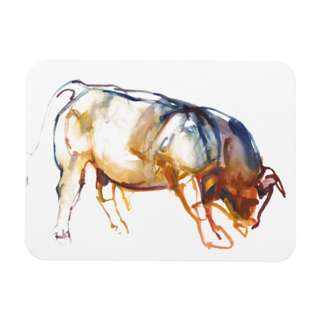 Íman Little Bull 2010 (Horizontal)