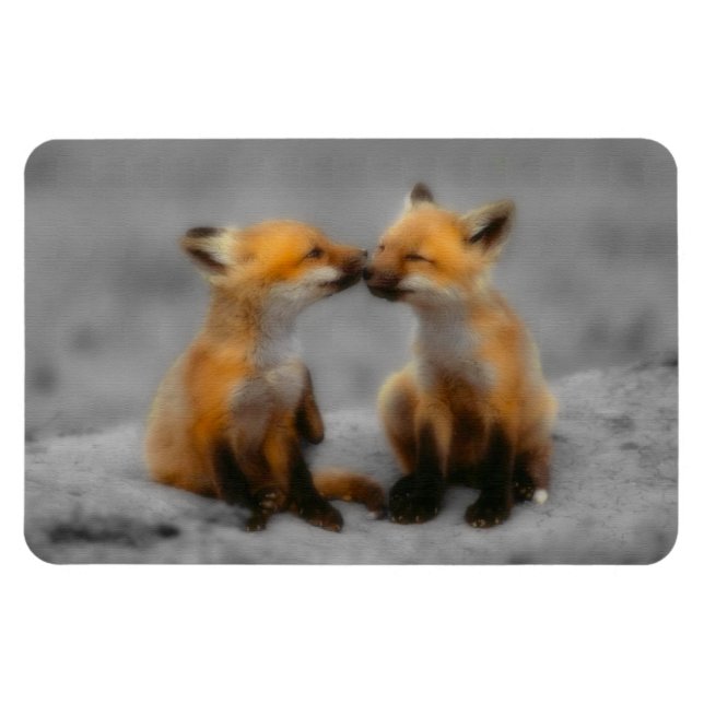 Íman Little Fox Love (Horizontal)