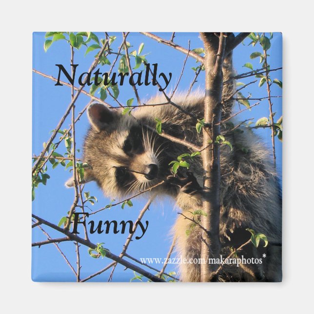 Íman Little Raccoon Magnet-Personalizar (Frente)