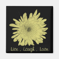 Live Laugh Love