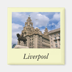 Íman Liverpool - construção do fígado