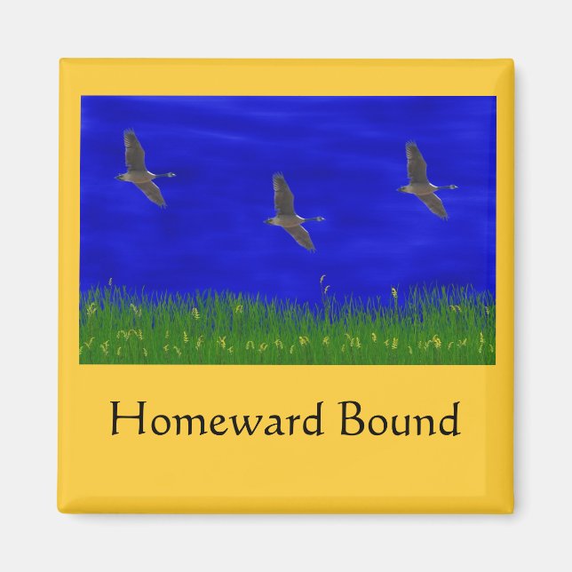 ÍMAN LIVRO HOMEWARD (Frente)