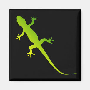 Íman Lizard Magnet