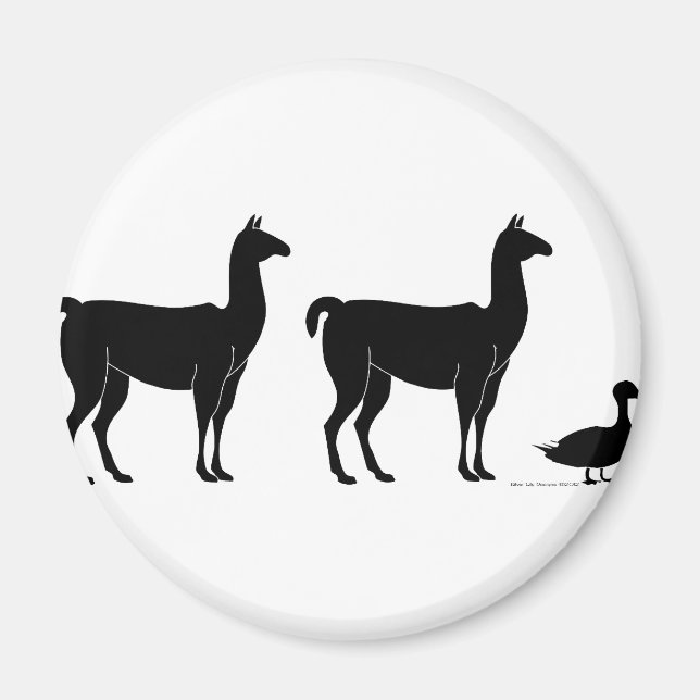 Íman Llama, Llama, Duck (Frente)