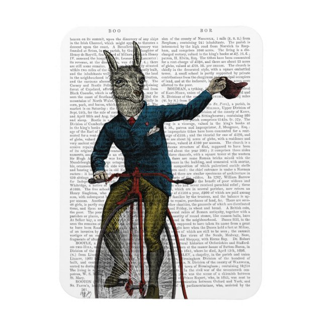 Íman Llama sobre bicicleta (Vertical)