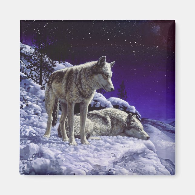 Íman Lobos cinzas na neve de inverno à noite (Frente)