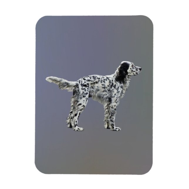 Íman Loewellin Setter (Vertical)