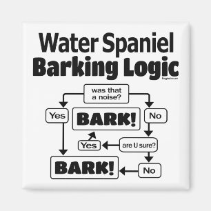 Íman Lógica de Barco de Espanhol de Água