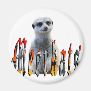 Íman Logotipo De Imagem De Meerkatc E Meerkats,