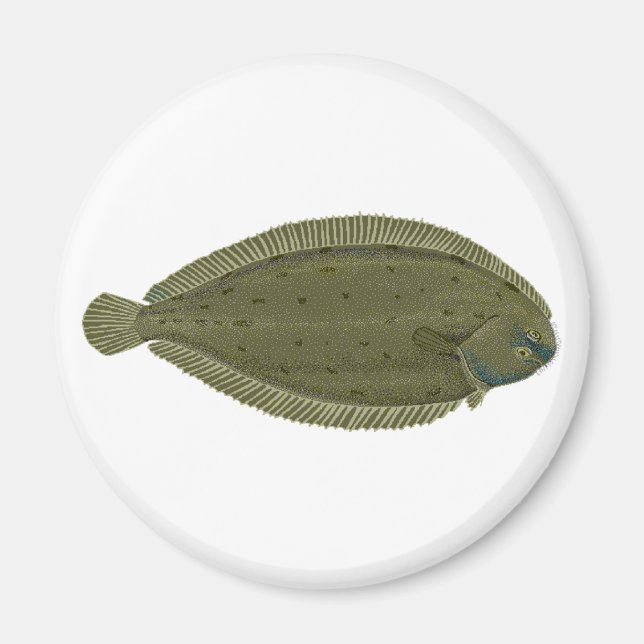 Íman Logotipo de peixe simples (Frente)
