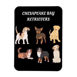 Íman Lojas de Chesapeake Personalizadas Retrievers de C