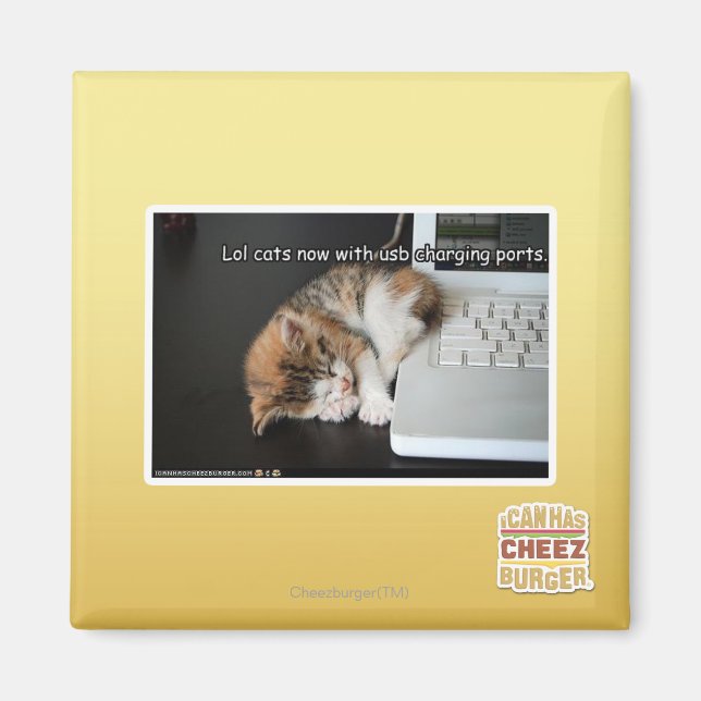 Íman Lol cats com USB (Frente)