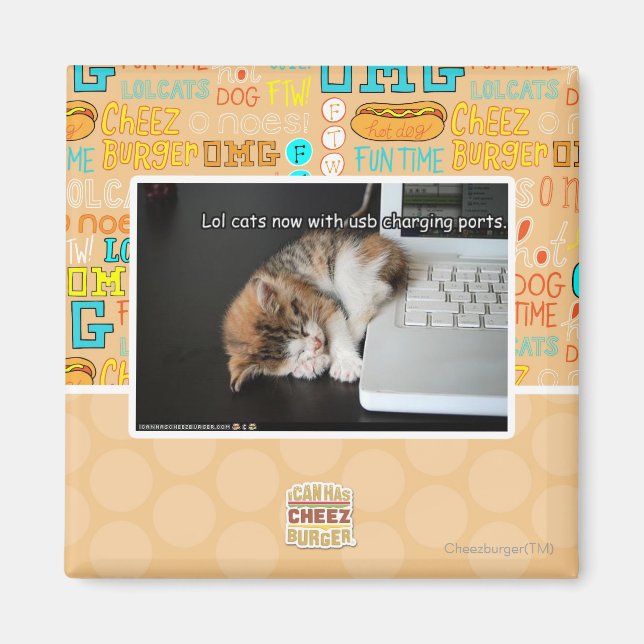 Íman Lol cats com USB (Frente)