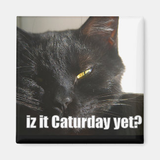 Íman LOLCat 2