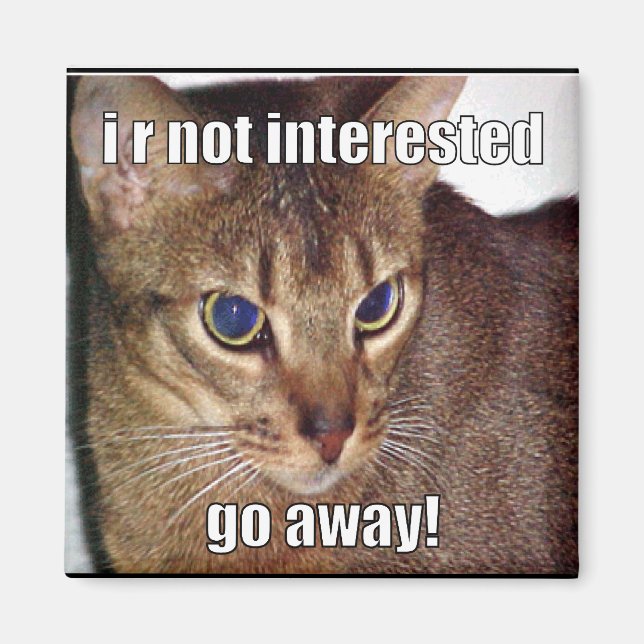 Íman LOLCat 3 (Frente)