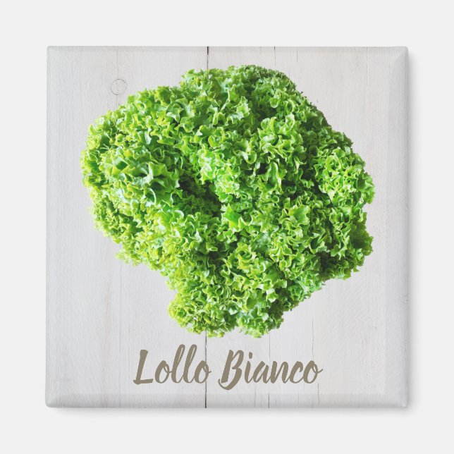 Íman Lollo Bianco Salad alface para Vegans (Frente)