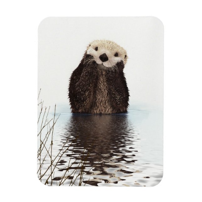 Íman Londra Adorável Nutria Fofa Animal (Vertical)