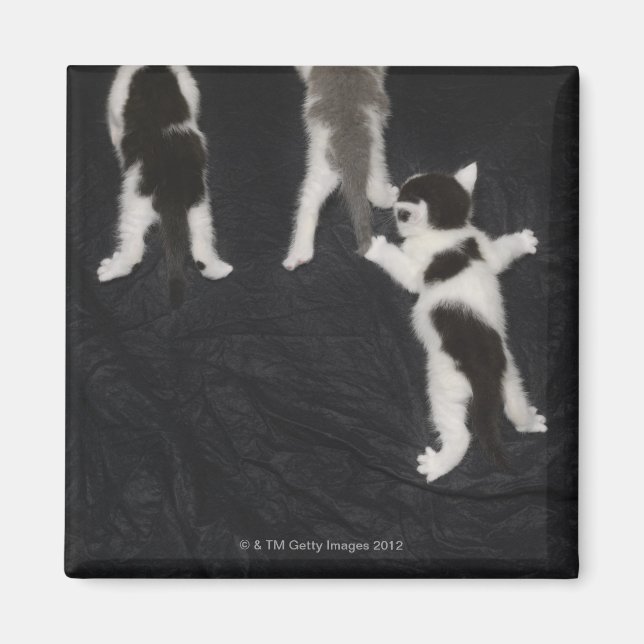 Íman Londres, Inglaterra, Reino Unido 2 (Frente)