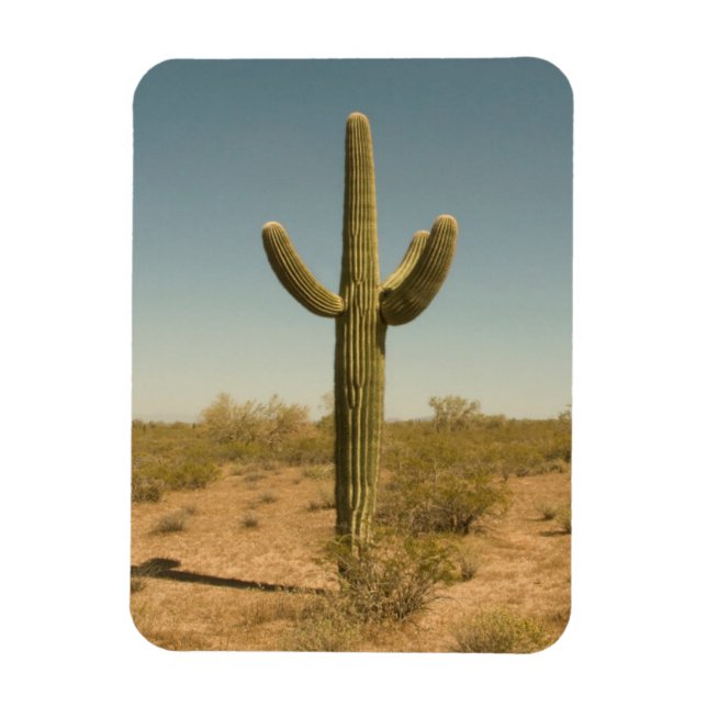 Íman Lone Cactus (Vertical)