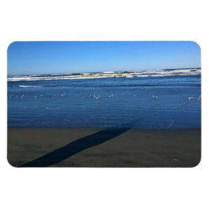 Íman Long Beach, Washington