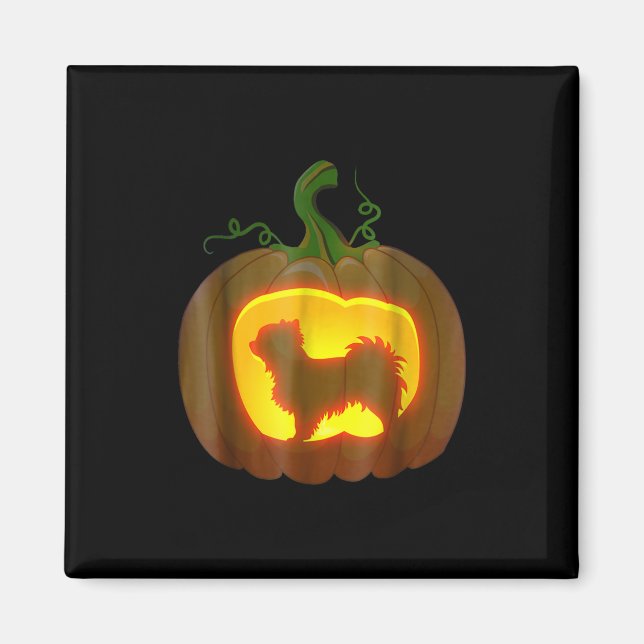 Íman Long Haired Chihuahua Halloween (Frente)