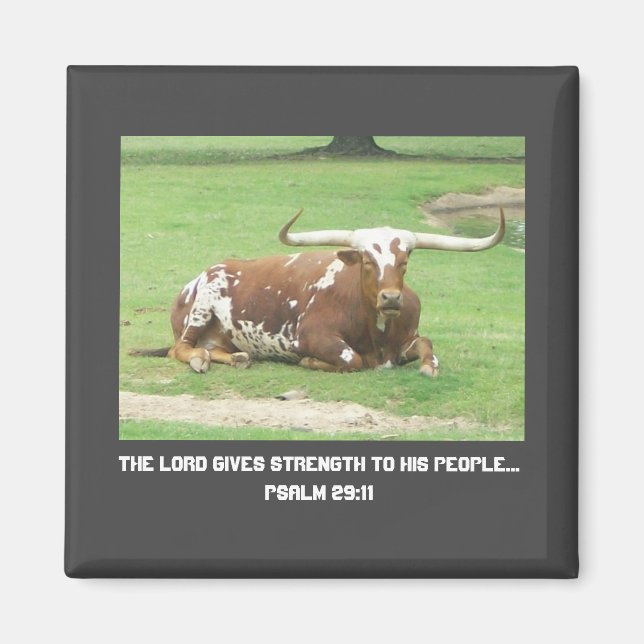 Íman Longhorn Magnet (Frente)