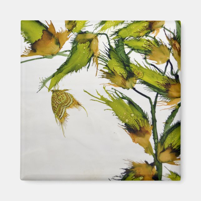 Íman Longos dedos verdes e ímã borboleta (Frente)