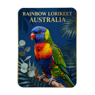 Íman 🦜 Loriqueet Arco-íris Austrália Ave Tropical