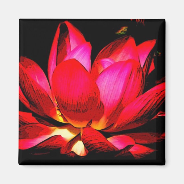Íman Lotus (Frente)