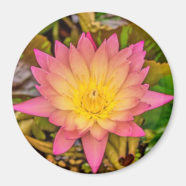 Íman Lotus Flower of Life (Frente)