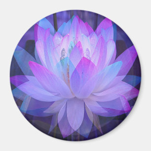 Íman Lotus no azul…