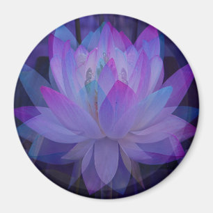 Íman Lotus no azul…