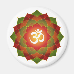 Íman Lotus OM projeta
