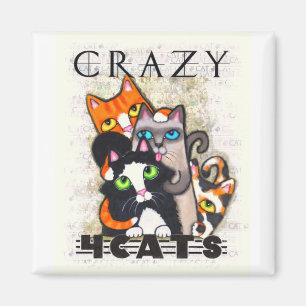 Íman Louco para o ímã dos gatos