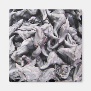 Íman Loucos de Buffalo - Água Caltrop