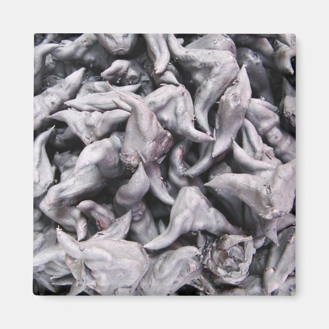 Íman Loucos de Buffalo - Água Caltrop (Frente)