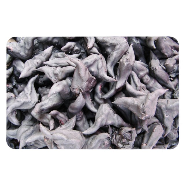 Íman Loucos de Buffalo - Água Caltrop (Horizontal)
