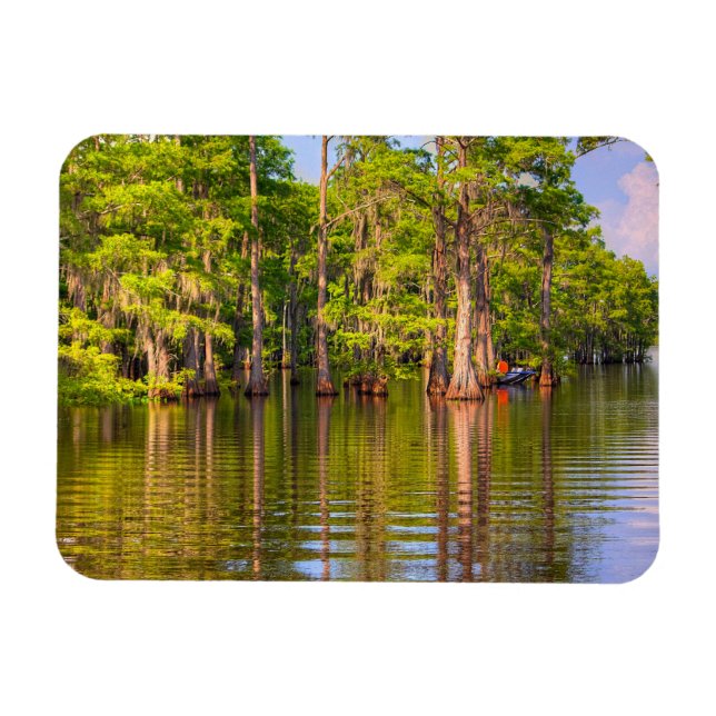 Íman Louisiana Bayou Photo Magnet (Horizontal)