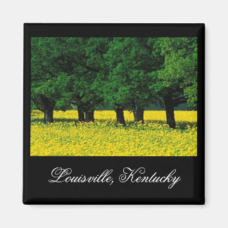 Íman Louisville, Kentucky Magnet