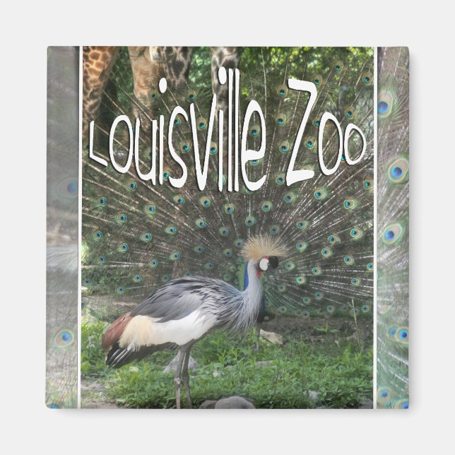 ÍMAN LOUISVILLE ZOO ANIMAL LINEUP CRANE, PEACOCK (Frente)