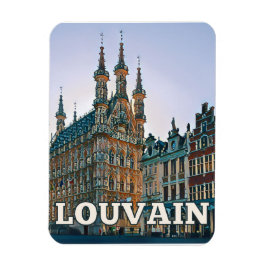 Íman Louvain Belgique Photo Vintage