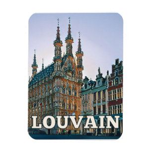 Íman Louvain Belgique Photo Vintage