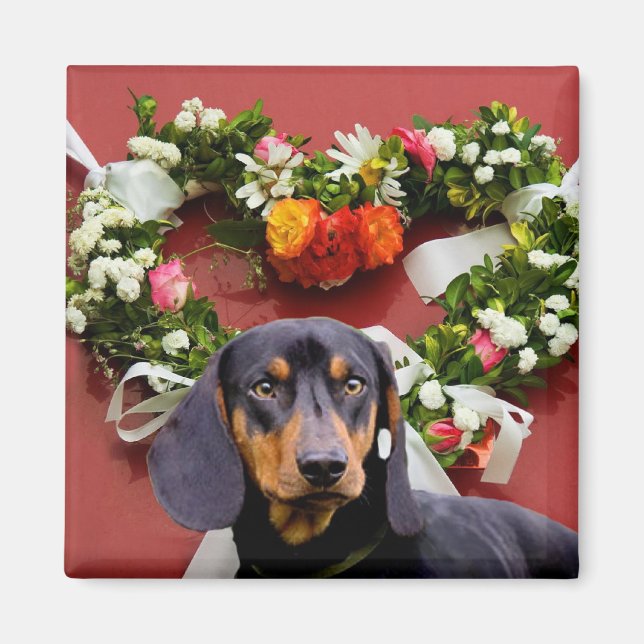 Íman Love Dachsund Magnet (Frente)