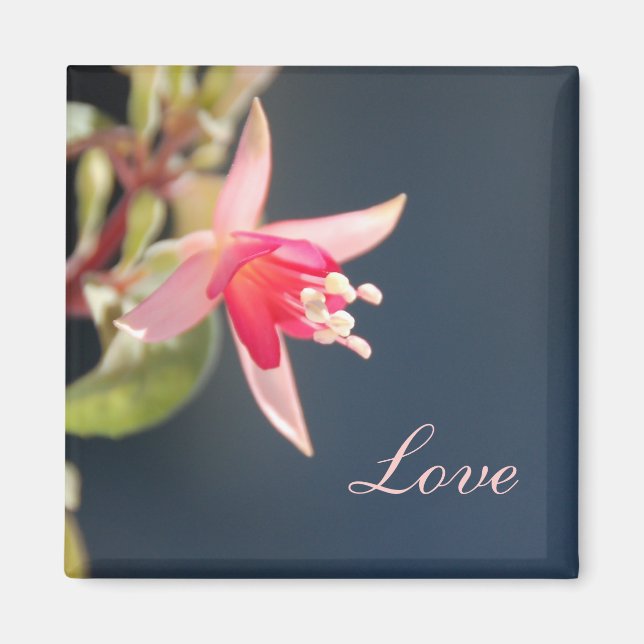 Íman Love Magnet (Frente)