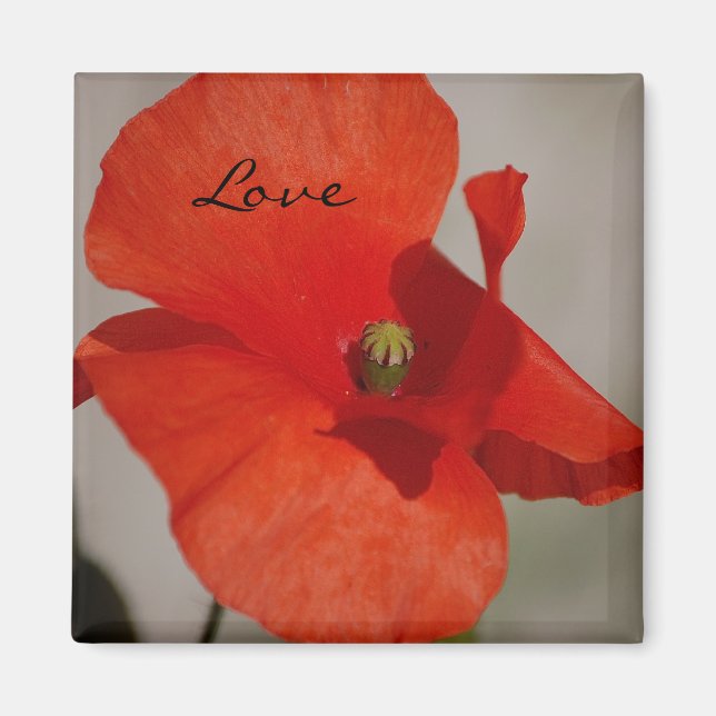 Íman Love Poppy Magnet (Frente)